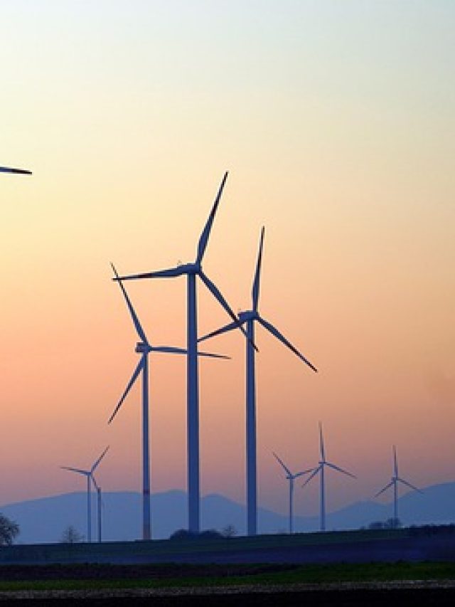 brahmanvel wind farm case study