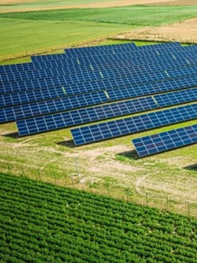 Top 8 Benefits of Using Solar Panels for Agriculture and Farming