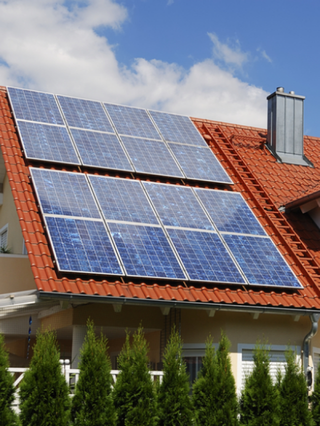 Types of Solar Panels That Exist in India: All You Need to Know