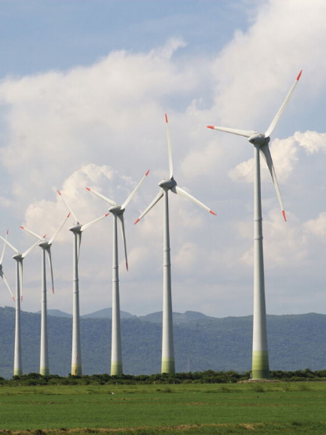 Top 7 Wind Companies Stocks in India 2023